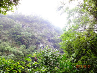 山林间的绿意盎然