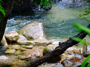 溪边岩石与绿植的自然景致