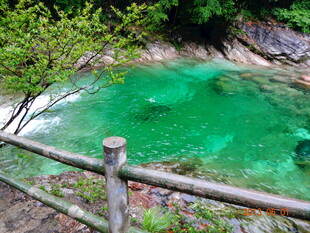 山间碧绿水潭景色迷人