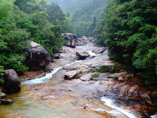 山间溪流 绿意盎然的景致