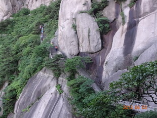 峻峭山石间的葱郁植被