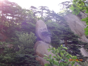 山林间的巨石与葱郁树木