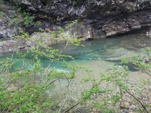 山间清澈幽潭绿意环绕