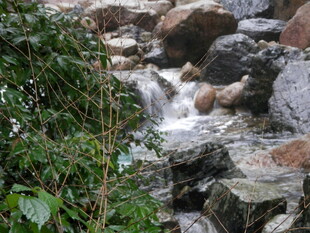 山间溪流潺潺过石景