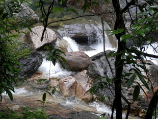 山林间的潺潺溪流瀑布