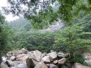 山林间的巨石与葱郁绿树