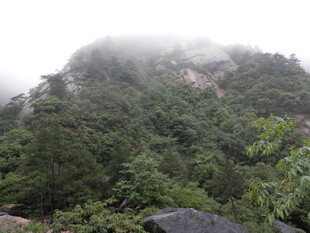 云雾缭绕的葱郁山峦