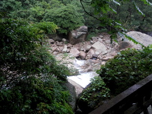 山林间的溪流美景