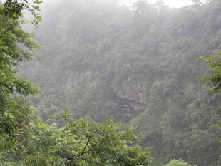 山间雾气弥漫的绿意景致