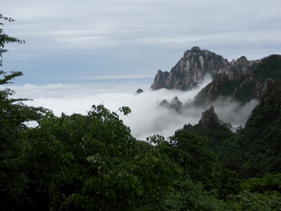 云雾缭绕的山林与峻峭山峰