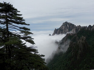 黄山云雾缭绕的壮美山景