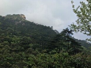 青山绿树间的秀丽山峰