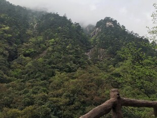 山间云雾缭绕的自然景致