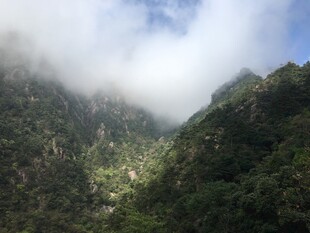 云雾缭绕的翠绿山谷