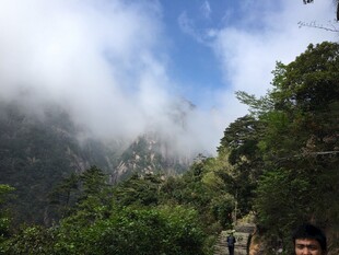云雾缭绕的山林美景