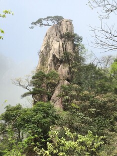 奇峰耸立山林间