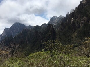 壮丽山景与葱郁植被