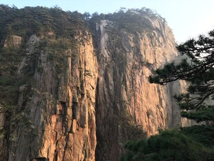 壮丽山景 峭壁与松