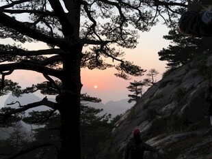 山间暮色中的苍松美景