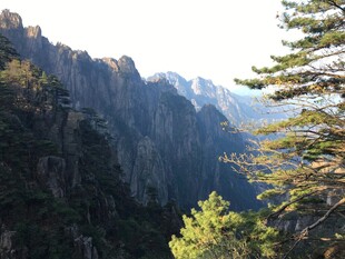 壮丽山景与葱郁树木