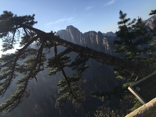 山间松枝与远处巍峨山峰
