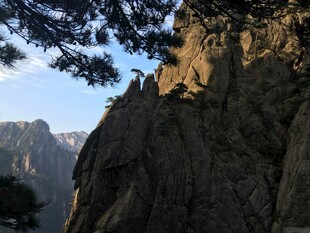 峻峭山峰与苍松