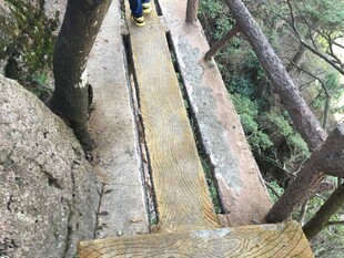 山间木质栈道蜿蜒而上