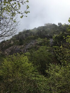 山间绿意盎然的自然景致