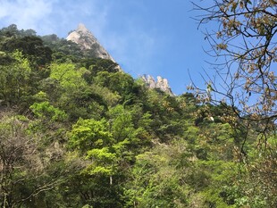 青山绿树间的秀丽山景