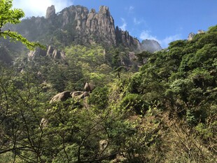 秀丽山峦间的葱郁景致