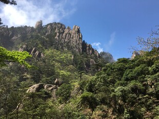 青山绿树间的秀丽山景