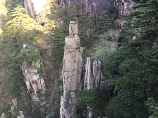 黄山奇峰屹立于山林间