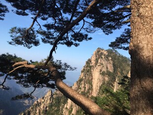 黄山奇松与峻岭风光