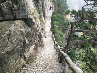 山间蜿蜒石径 景致清幽