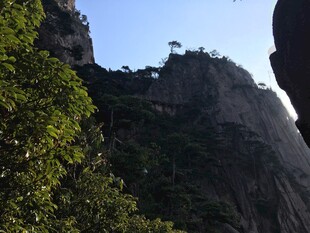 巍峨山峰与葱郁植被