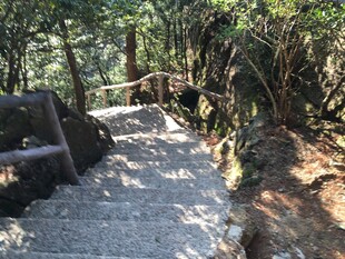 山林间的蜿蜒石板小径