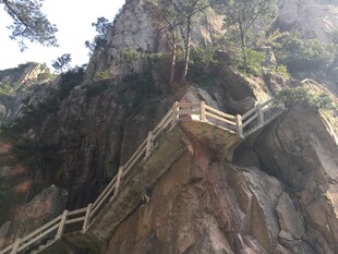 悬崖上的木质栈道奇观