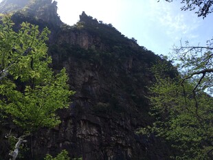 巍峨山峰与葱郁林木