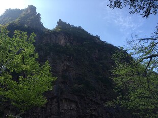 巍峨青山绿意浓