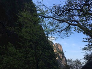 山间峭壁与繁茂树木景观