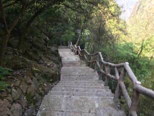 林间木栏石阶幽静小道