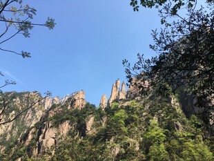 峻峭山峰与葱郁植被