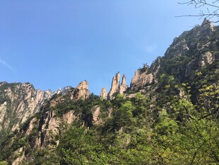 峻峭山峰与葱郁植被