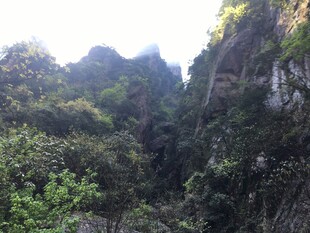 山间峡谷绿意盎然景色