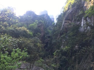 山间绿意盎然的陡峭峡谷
