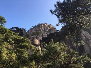 峻岭松影 山间壮美风光