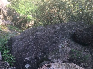 山间巨石与繁茂绿植