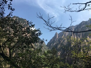 山间景致 树木与峻岭相映