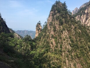 壮丽山峰间的葱郁景致