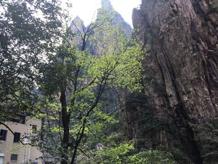 山间峭壁旁的绿意小屋